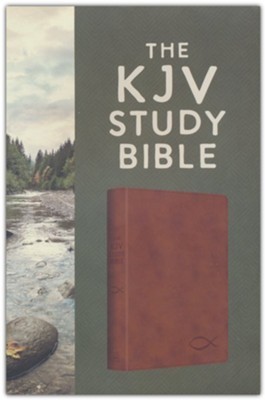 KJV study bible