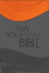 NIV Action Study Bible - imitation leather